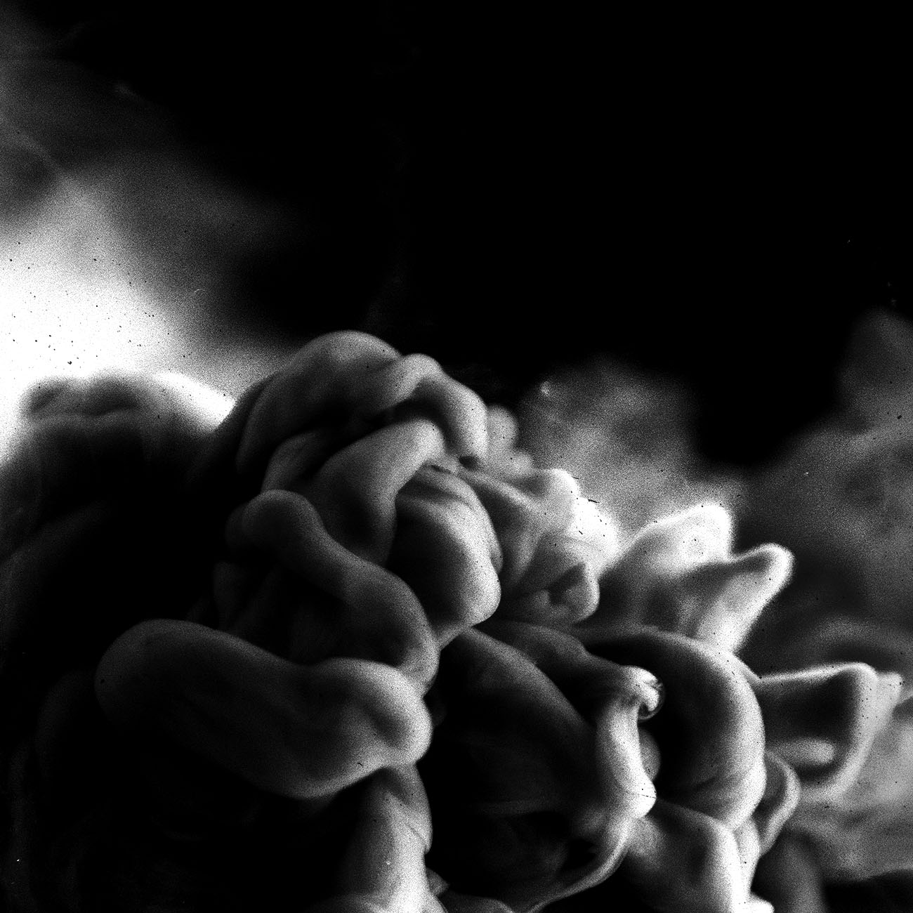 kentha demo album 14