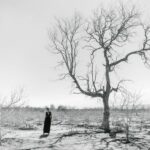 woman standing in dry valley with leafless plants