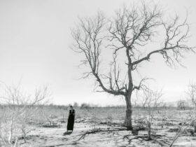 woman standing in dry valley with leafless plants
