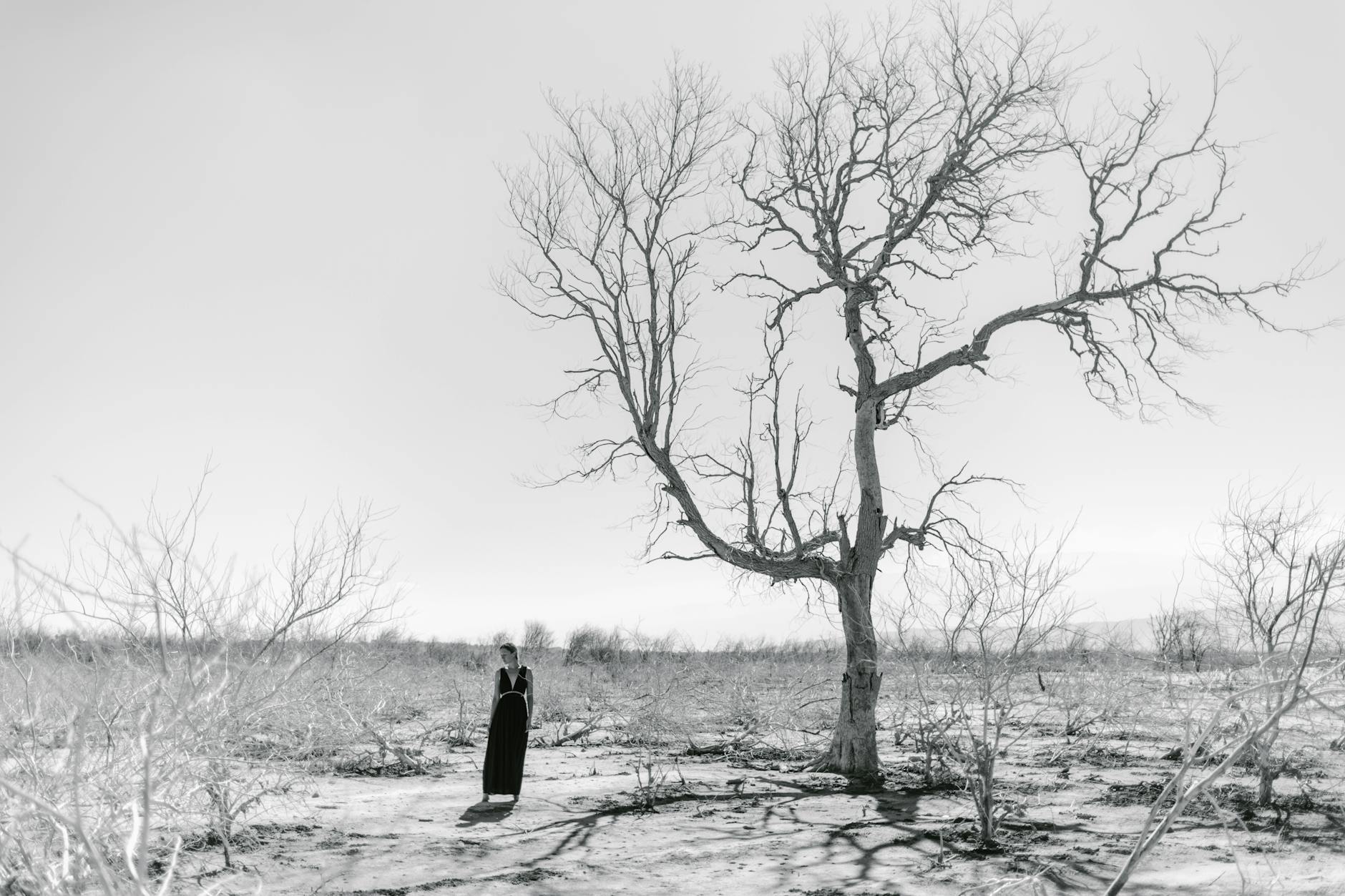 woman standing in dry valley with leafless plants