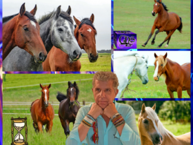 Green and brown horses photo collage