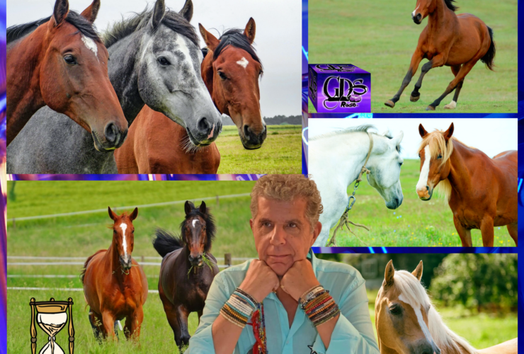 Green and brown horses photo collage