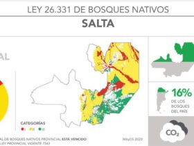 Deforestación en Salta