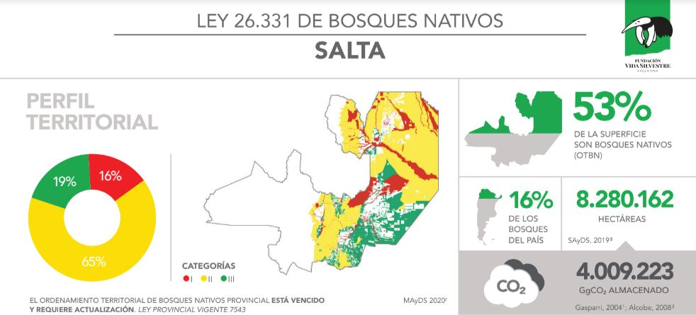 Deforestación en Salta