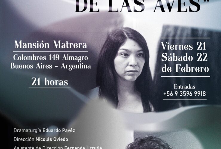 La metáfora de las aves