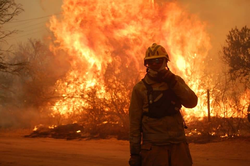 Incendios forestales