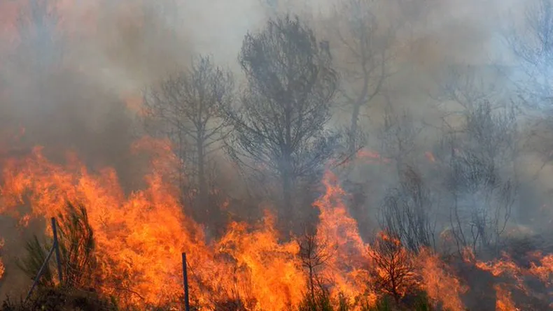 avanza fuego bosques nativos patagonicos del sur argentina