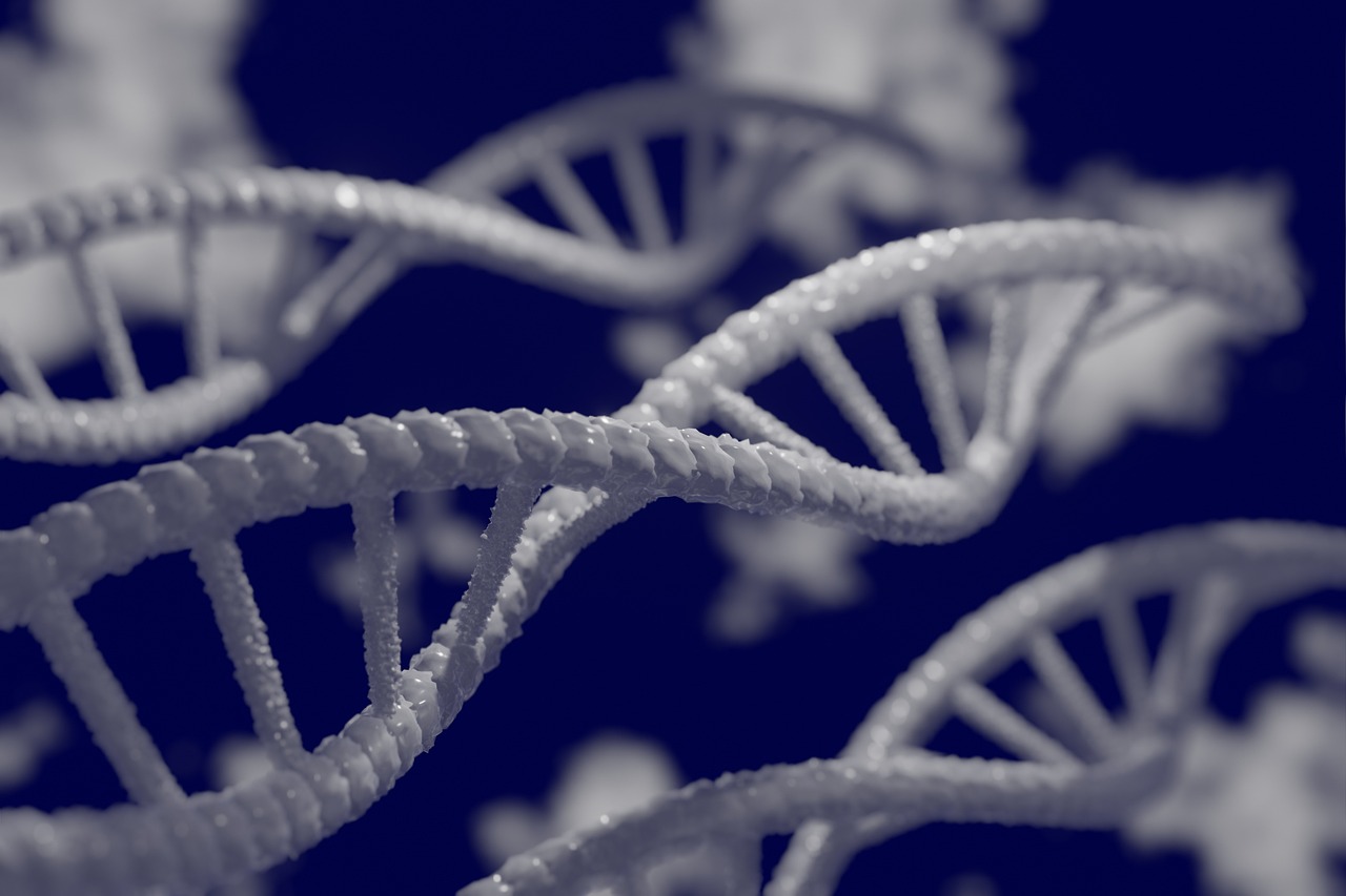 dna, 3d, biology, 4k wallpaper, genetic, research, free wallpaper, biotechnology, wallpaper 4k, gene, chemistry, medicine, helix, spiral, structure, model, microbiology, medical, science, technology, scientific, free background, hd wallpaper, mac wallpaper, background, backdrop, genetics, cell, scientist, wallpaper hd, laptop wallpaper, beautiful wallpaper, laboratory, microscope, dna, 4k wallpaper 1920x1080, windows wallpaper, 3d wallpapers, cool backgrounds, dna, desktop backgrounds, dna, full hd wallpaper, dna, dna, genetics