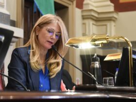 veronica magario vicegobernadora y presidenta del senado de la provincia