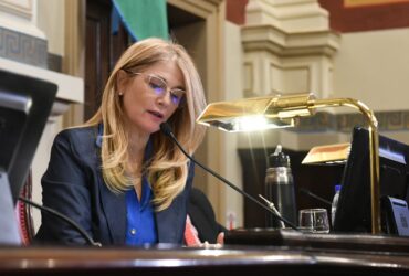 veronica magario vicegobernadora y presidenta del senado de la provincia