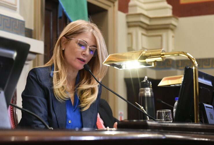 veronica magario vicegobernadora y presidenta del senado de la provincia
