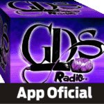 app GDS
