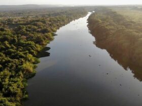 cq5dam.thumbnail.cropped.750.422 (1) (1)