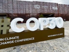 cq5dam.thumbnail.cropped.750.422 (1)