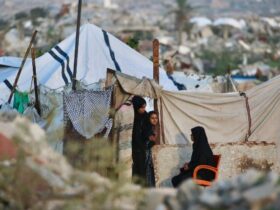 cq5dam.thumbnail.cropped.750.422 (1) (2)